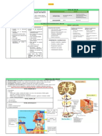 Analgesia Pre