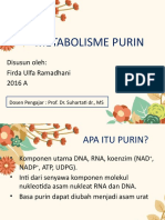 Metabolisme Purin