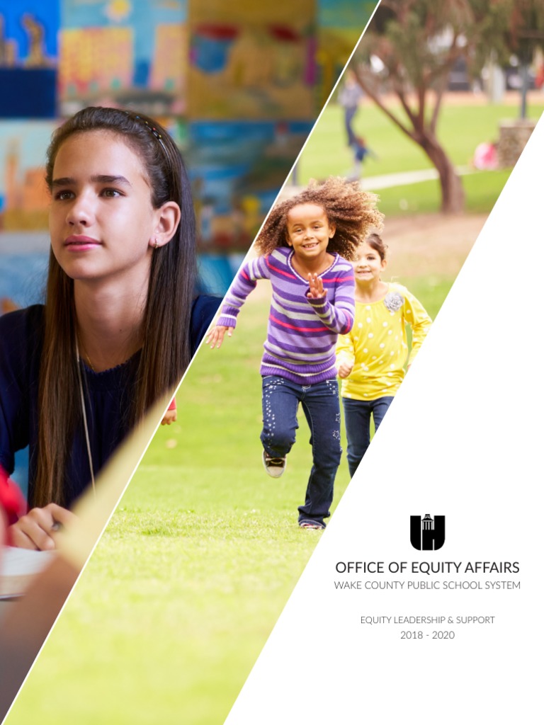 2018 OEA - Equityleadership.support.2018 2020.v2 | PDF | Leadership ...