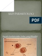 KKD PARASIOLOGI