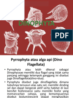 Dinophyta