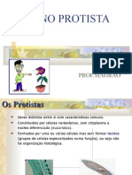 Biologia PPT - Reino Protista - Protozoários 2