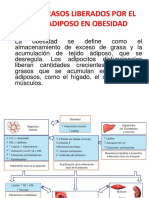 Exposicion Obesidad