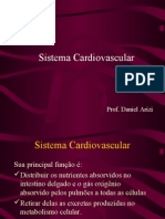 Biologia PPT - Sistema Cardiovascular