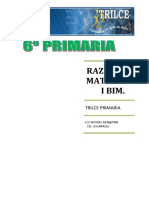 R.M. I BIM.pdf