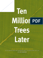 Ten Million Trees Later - First Chapter