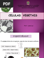 Aula de célula vegetais 