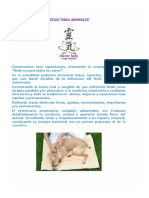 Capacitacion en Reiki para Animales