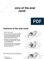 Anal Canal