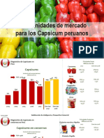 1. Juan Portugal - Oportunidades de mercado para los Capsicum peruanos PROMPERU - MODULO 3.pdf