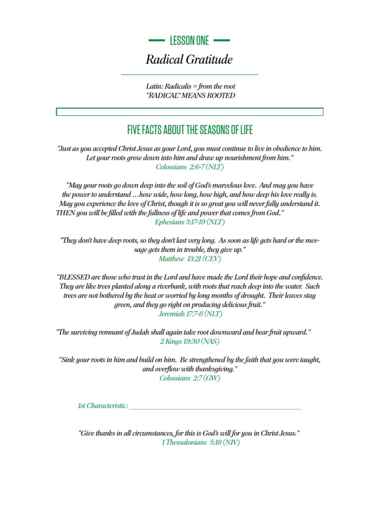 Radical Gratitude 1 Pdf Religious Behaviour And Experience Theology