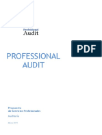 Professional Audit