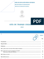 Guía 2018 PDF