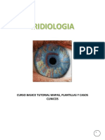 62564322-LA-IRIDOLOGIA-COMO-DIAGNOSTICO.pdf