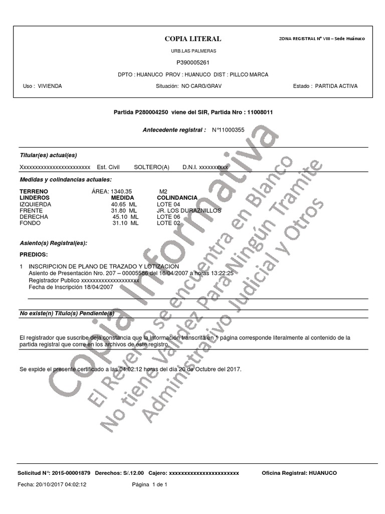Formato de Partida | PDF