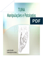 Workshop Tuina Apresentacao Final2272 - 2188 PDF