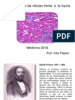 Injuria Celular Medicina 2016 PDF