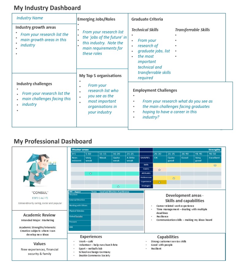 It Is Professional Profiling Format | PDF | Employment | Business