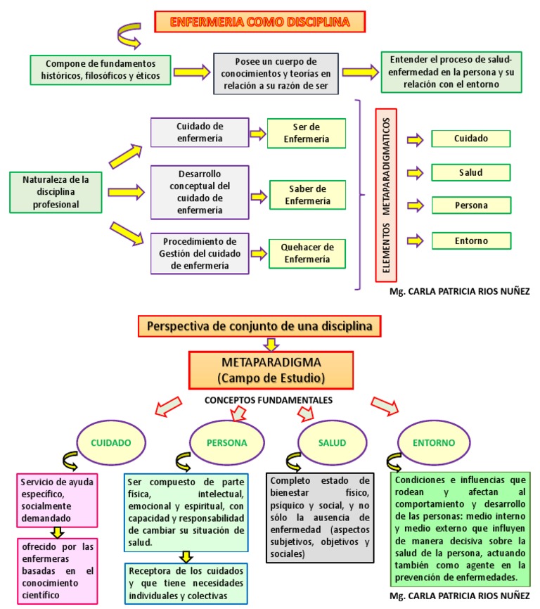 Metaparadigmas de Enfermeria PDF Enfermería Sicología