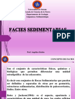 Tema 7 facies sedimentarias.pdf