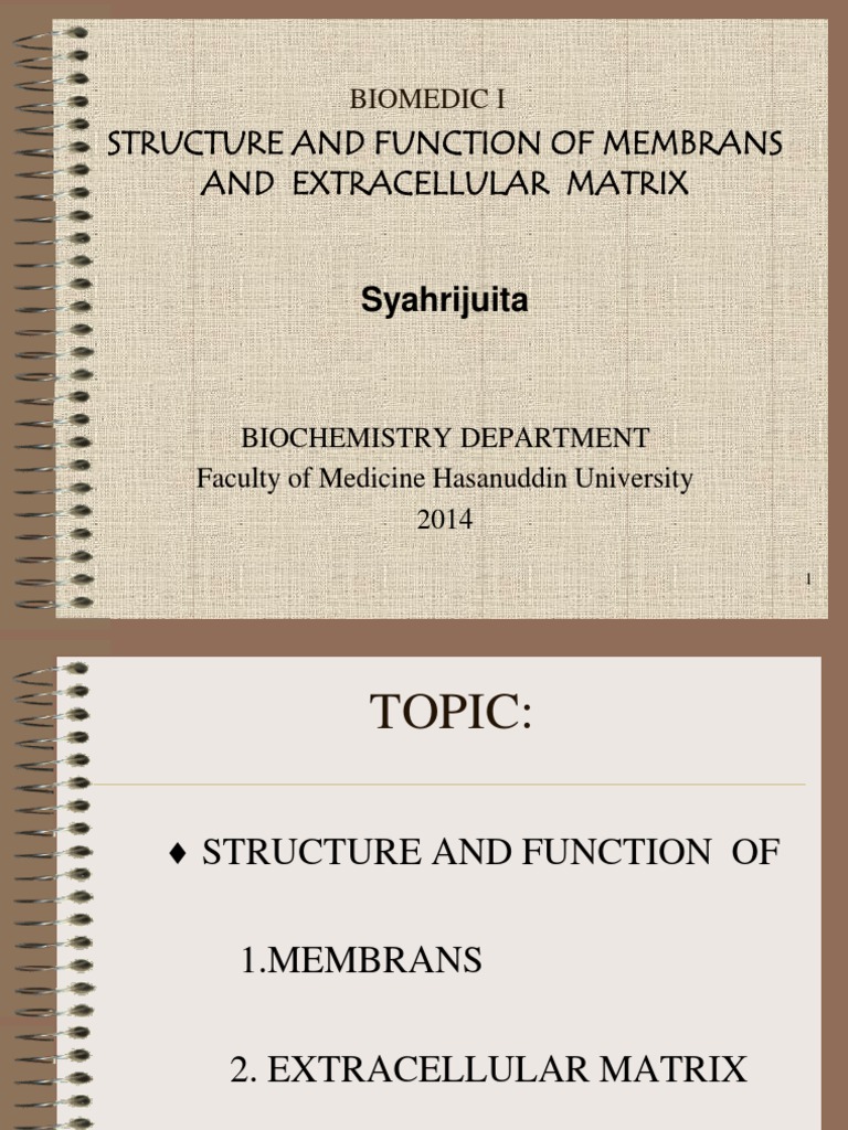 Membrane and Extracellular Matrix Functions | PDF | Extracellular ...