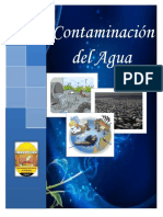 INFORME_DE_AMBIENTAL_CONTAMINACION_DEL_A.docx