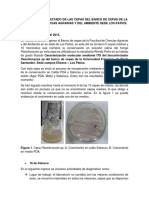 DIAGNÓSTICO DEL ESTADO DE LAS CEPAS DEL BANCO DE CEPAS DE LA FACULTAD DE CIENCIAS AGRARIAS Y DEL AMBIENTE SEDE LOS PATIOS (Autoguardado)