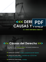 Causas y Fines del Derecho.ppt