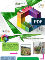 Formato PowerPoint OVI 2.pptx