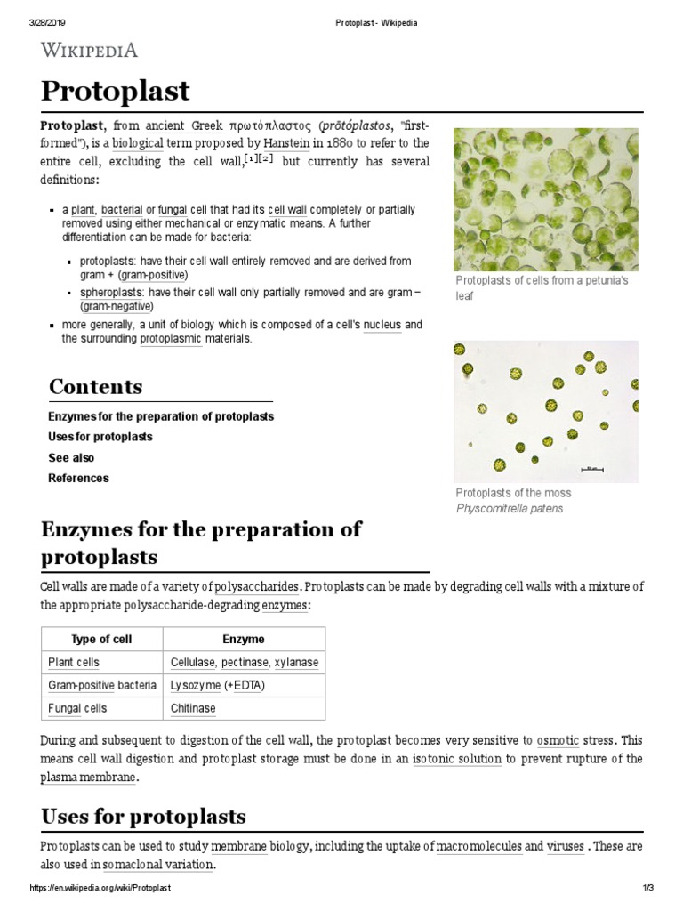 Protoplast - Wikipedia | PDF | Biology | Organisms