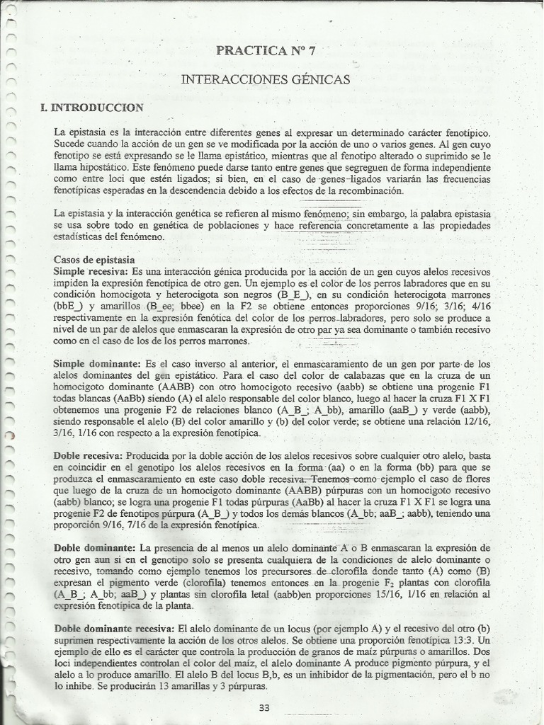 Liz Libro Parte 1 PDF | PDF