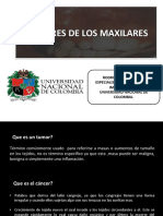 Tema 3 Tumores en Los Maxilares PDF