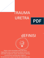 Trauma Uretra