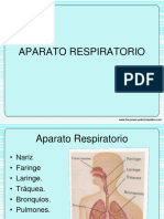 APARATO RESPIRATORIOo PDF