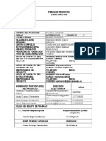 Formato Etapa Practica