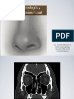 Anatomia y Fisiologia Nasal