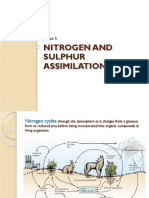 Nitrogen and Sulphur Assimilations: Week 5