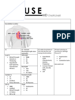 Heartsound murmur.docx