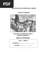 apsotila modulo II catequese.pdf