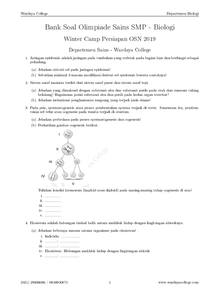 Soal Olimpiade Emerald Matematika Sd Level 1