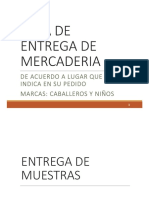 Guia de Entrega de Mercaderia