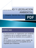 DERECHO Y LEGISLACION AMBIENTAL (1).pptx