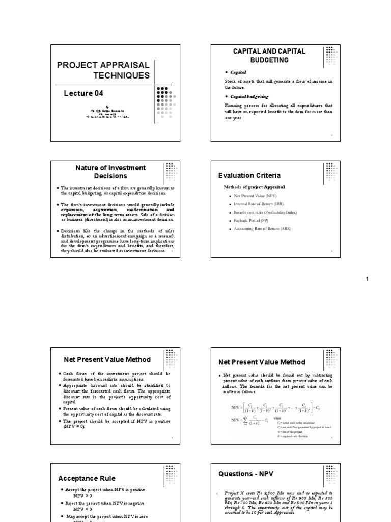 Project Appraisal Techniques Overview | PDF | Net Present Value ...