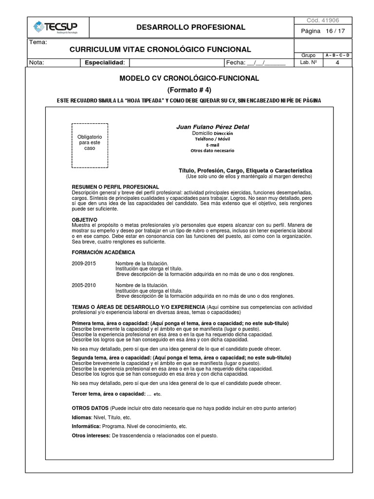 Formato # 4 Modelo CV Cronológico-Funcional | PDF | Informática y  tecnología de la información | Business