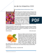 Enseñanzas de Los Maestros XXXI PDF