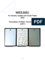 249416270-White-Rust.pdf