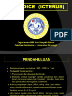 Materi Kuliah - Jaundice (Icterus)(revisi).pptx