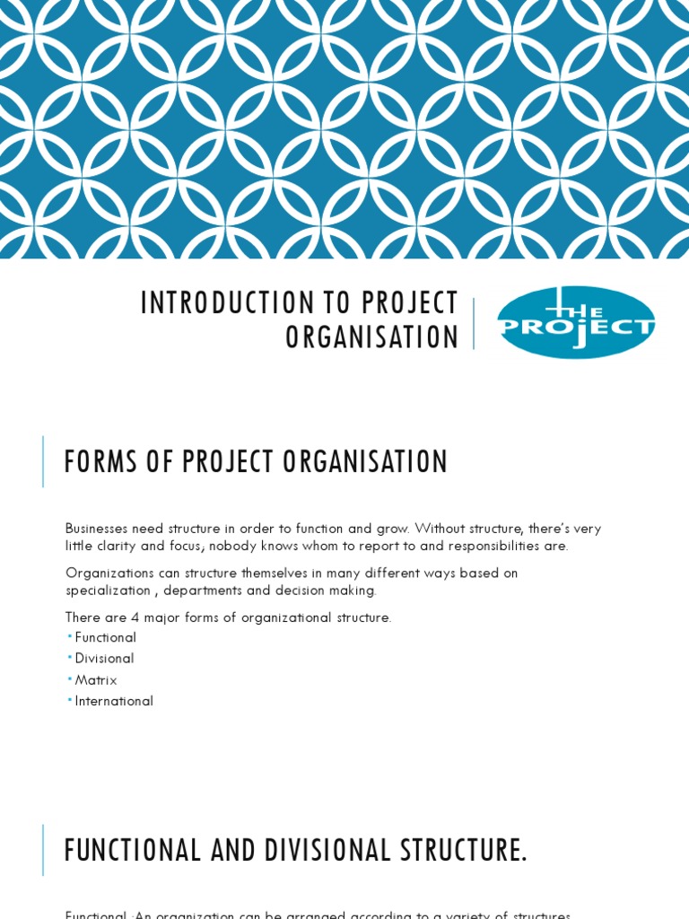 Overview of Project Organization Structures | PDF | Organizational ...