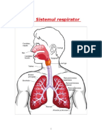 9. Sistemul Respirator