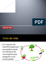 ppt18-ciclosdevida-2.docx